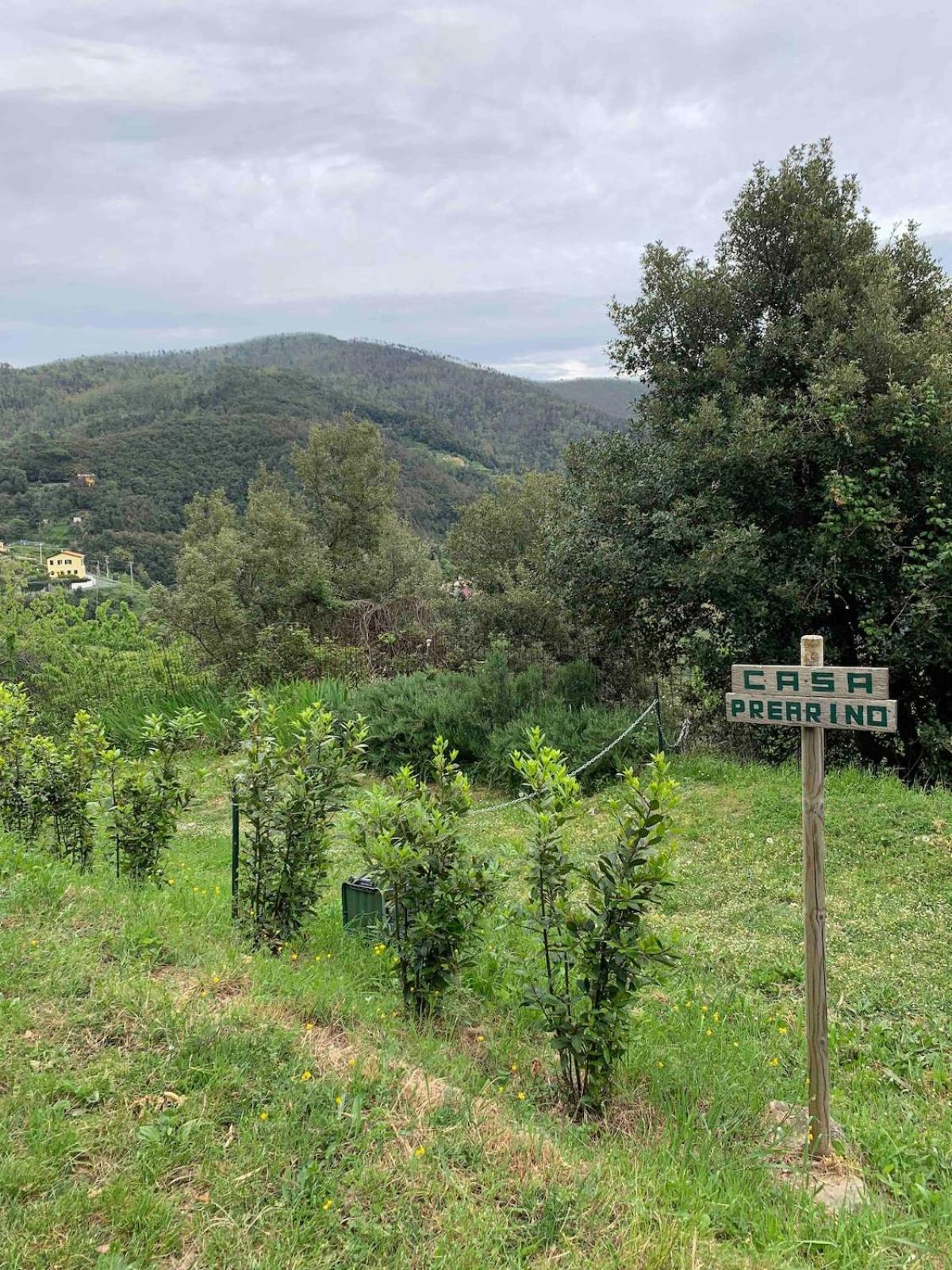 Quiet And Cozy Home With Wi-Fi Casa Prearino Βερνάτσα Εξωτερικό φωτογραφία